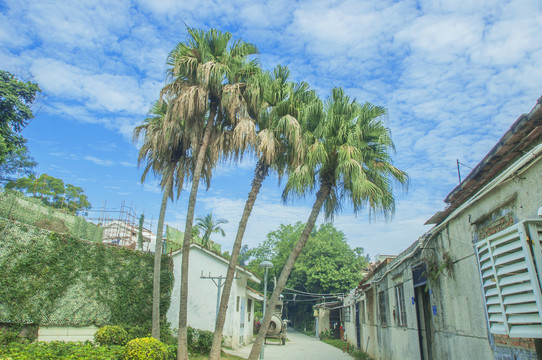 鼓浪屿风情印象