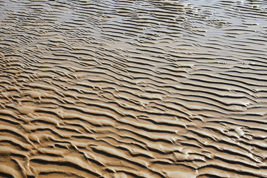 海滩沙滩湿地