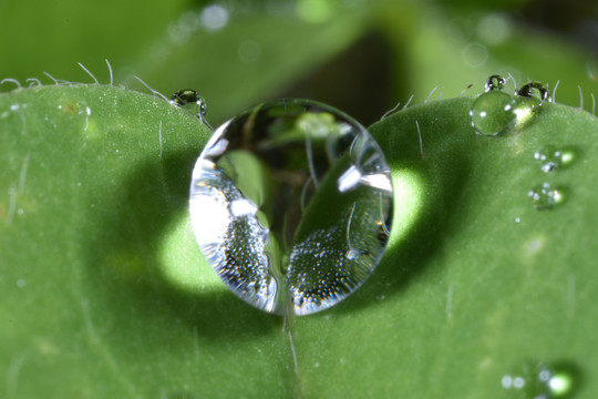 水珠