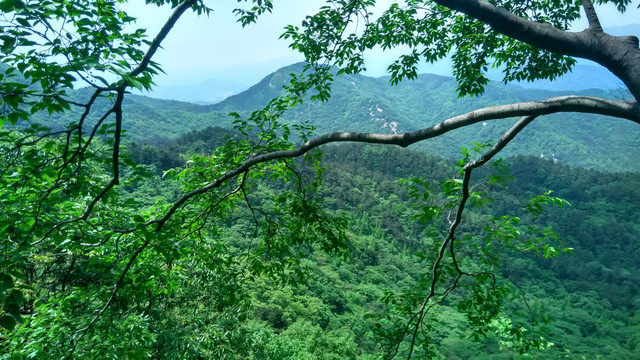 鸡公山山顶