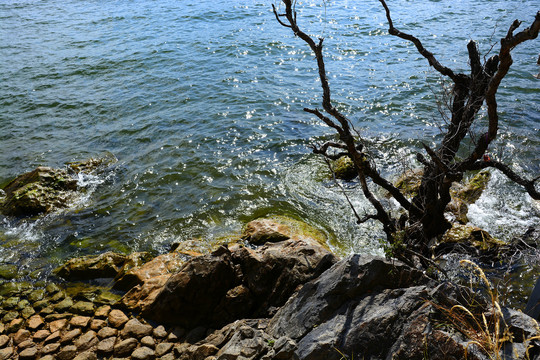 大理洱海风情岛