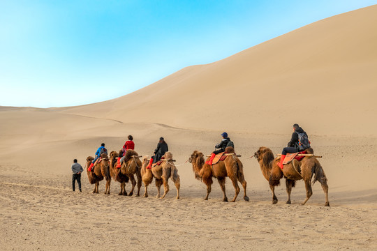 鸣沙山骆驼队骑骆驼
