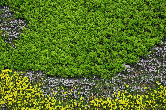 园林花朵绿植墙背景