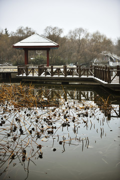 冬天城市湖泊公园景色