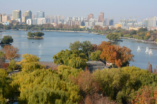 大明湖