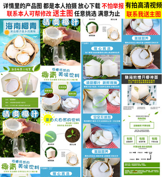 椰青詳情