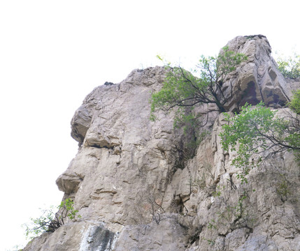 山岩石面