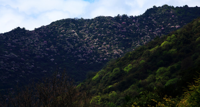 汶川开心牧场