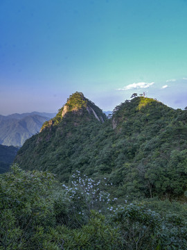 江西三清山山峰和山花