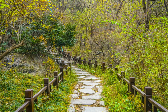 山林步道高清大图