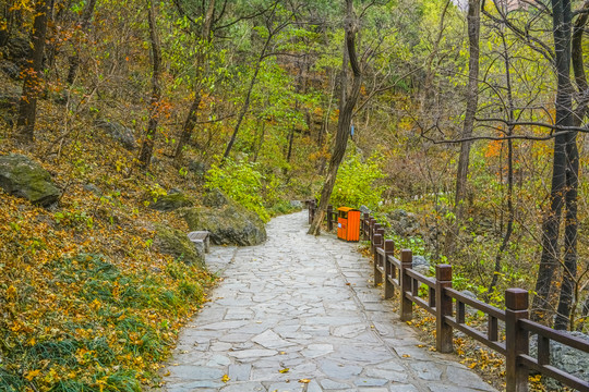 山林步道高清大图