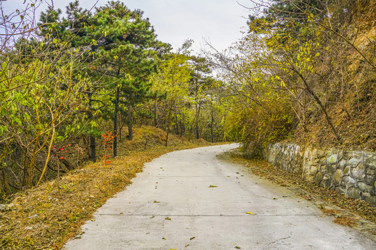 盘山公路高清大图