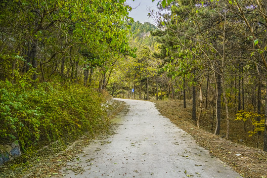 盘山公路高清大图