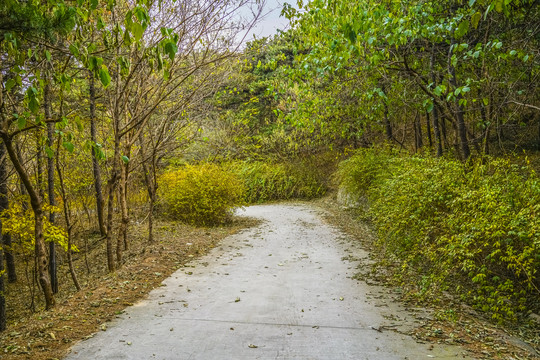 盘山公路高清大图