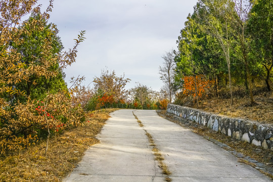 盘山公路高清大图