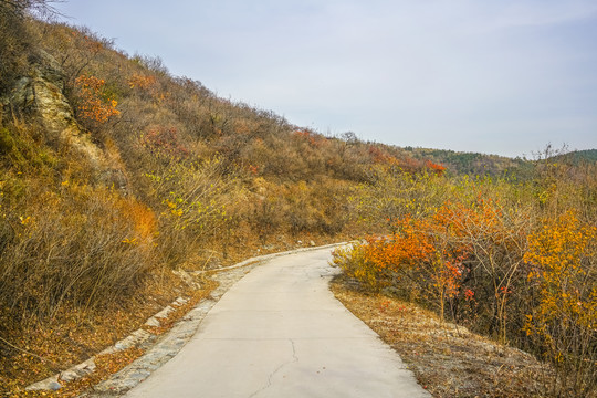 盘山公路高清大图