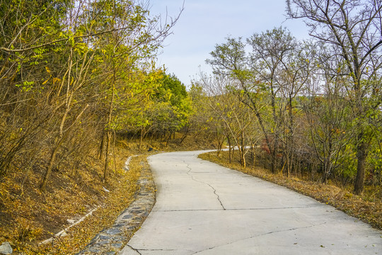 盘山公路高清大图