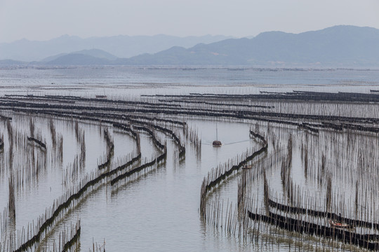 霞浦