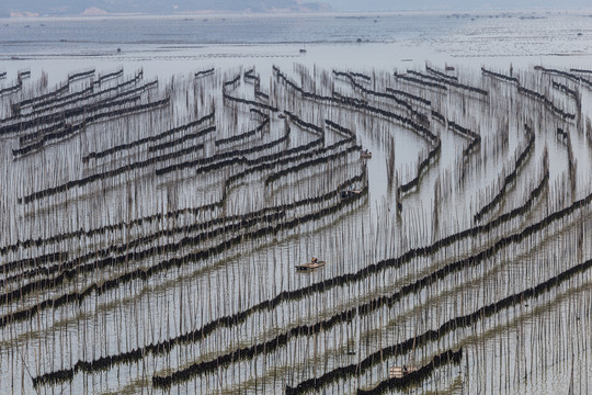 霞浦