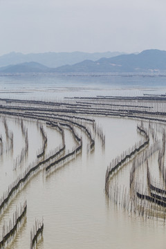 霞浦