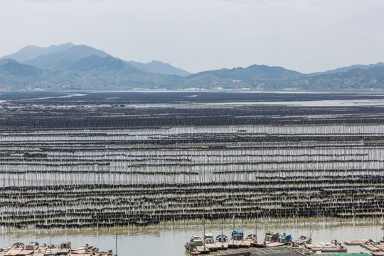 霞浦