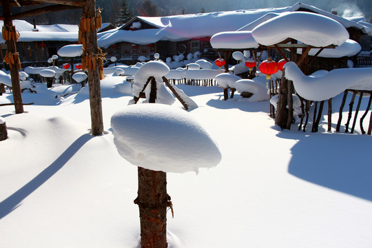 阳光下的雪乡雪景