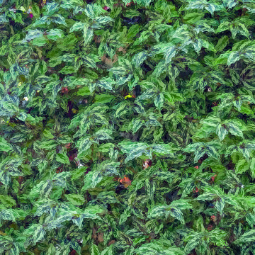 抽象紋理綠色背景