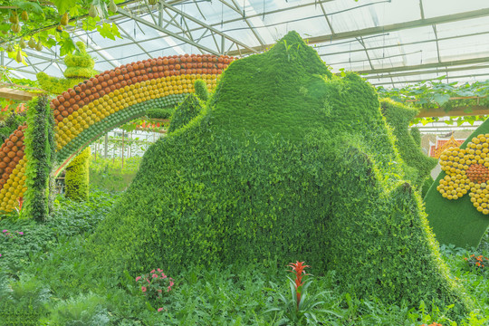 绿植青山