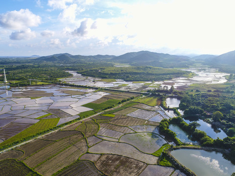 田园风光