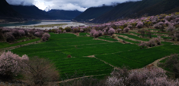 林芝风光