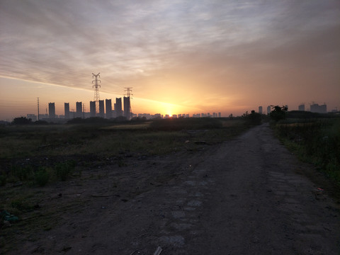 夕阳红