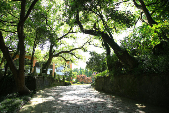 浙江大学之江校区