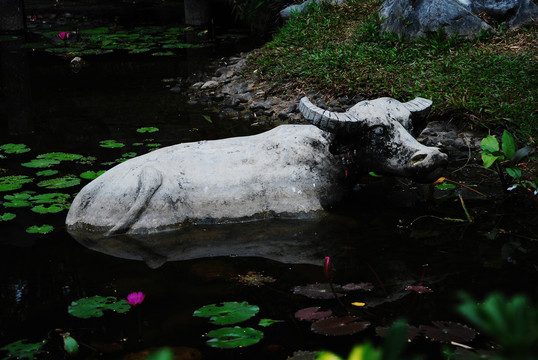 水中水牛雕塑