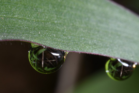 水珠