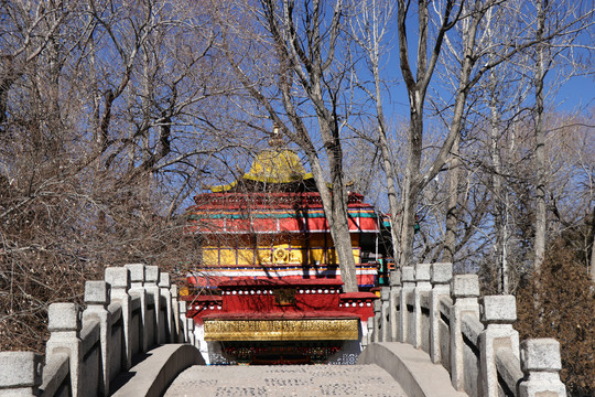 桥对面的寺庙建筑西藏拉萨