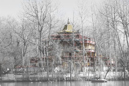 树林间的寺庙建筑西藏拉萨