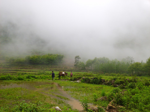 云南山水田园风光