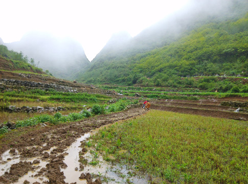 云南山水田园风光