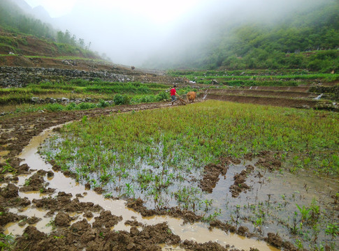 云南山水田园风光