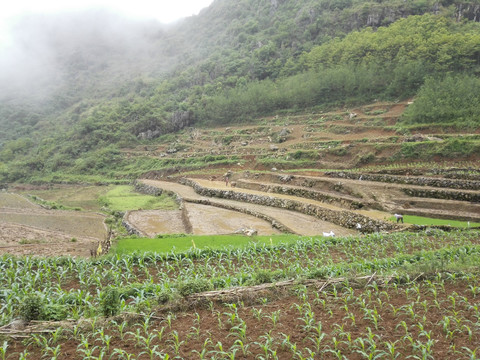 云南山水田园风光