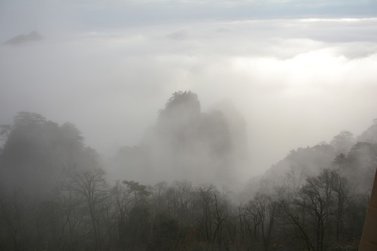 黄山云雾