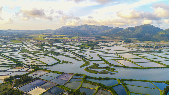 粤西水乡