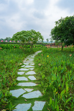 小区环境石板石头小路