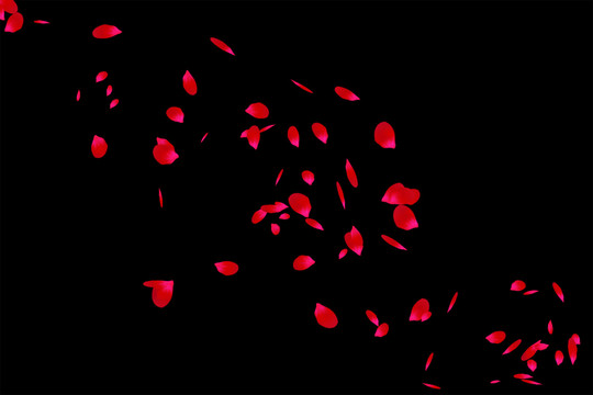 漂浮紅色玫瑰花瓣