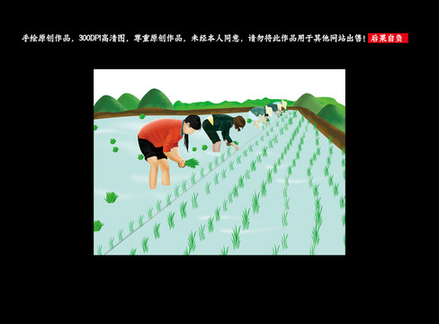 插秧人農忙插秧稻谷插畫