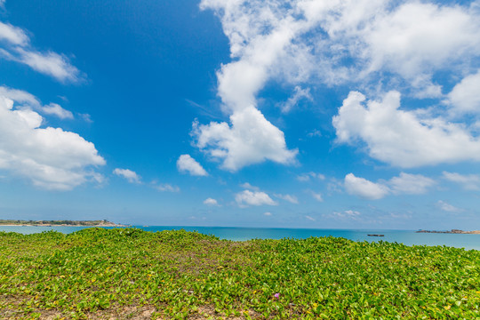 海景