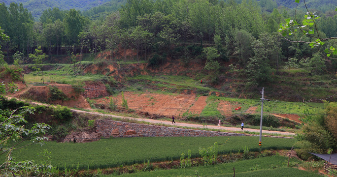 乡间小路