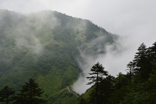 西岭阴阳界