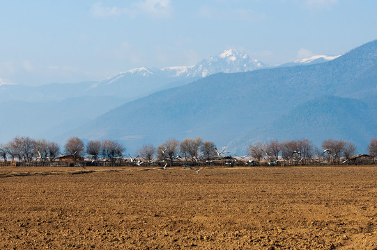 高原耕地