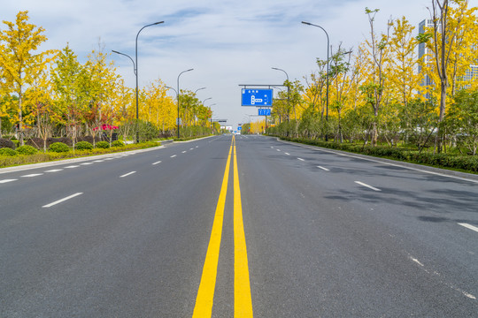 树林道路